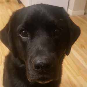 Meet your Posher, Shana